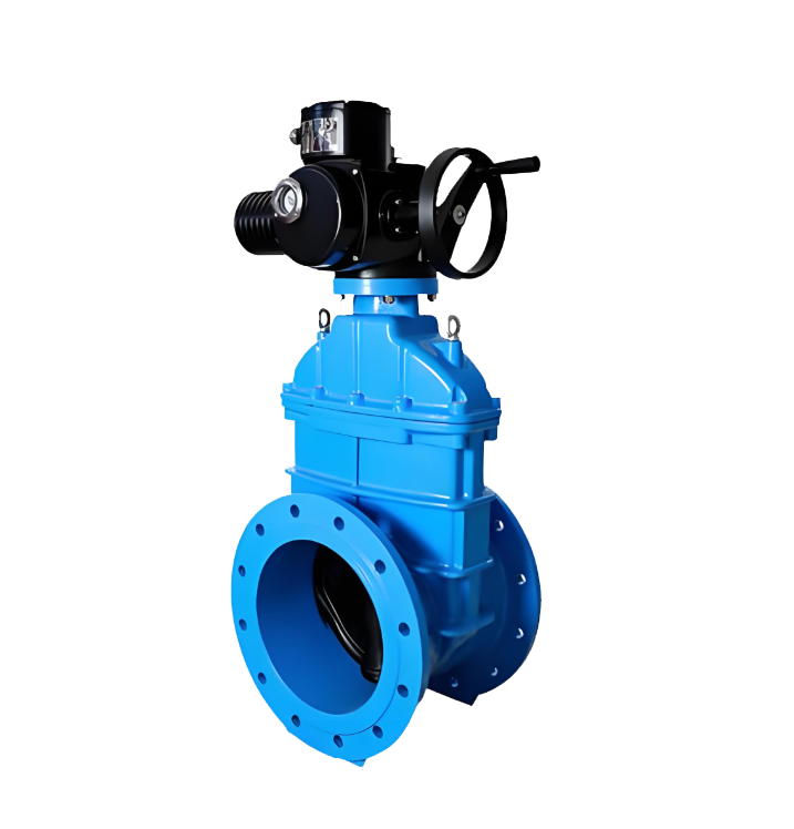 Cryogenic valve product